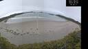 ./images/calvert/beach/20250509/beach20250509_102010M.jpg