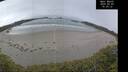 ./images/calvert/beach/20250509/beach20250509_103012M.jpg