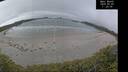 ./images/calvert/beach/20250509/beach20250509_112508M.jpg