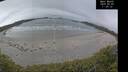 ./images/calvert/beach/20250509/beach20250509_113011M.jpg