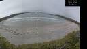 ./images/calvert/beach/20250509/beach20250509_115510M.jpg