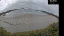 ./images/calvert/beach/20250509/beach20250509_141010M.jpg