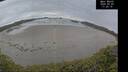 ./images/calvert/beach/20250509/beach20250509_172509M.jpg