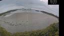 ./images/calvert/beach/20250509/beach20250509_175510M.jpg