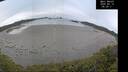 ./images/calvert/beach/20250510/beach20250510_062011M.jpg
