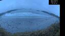 ./images/calvert/beach/20250517/beach20250517_050509M.jpg