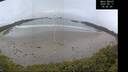 ./images/calvert/beach/20250517/beach20250517_064509M.jpg