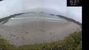 ./images/calvert/beach/20250517/beach20250517_065010M.jpg