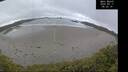 ./images/calvert/beach/20250517/beach20250517_082509M.jpg