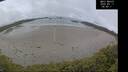 ./images/calvert/beach/20250517/beach20250517_084010M.jpg