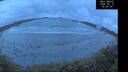 ./images/calvert/beach/20250518/beach20250518_050008M.jpg