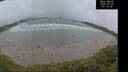 ./images/calvert/beach/20250520/beach20250520_071008M.jpg