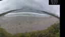 ./images/calvert/beach/20250520/beach20250520_082010M.jpg
