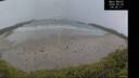 ./images/calvert/beach/20250520/beach20250520_092010M.jpg