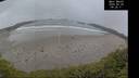 ./images/calvert/beach/20250520/beach20250520_092510M.jpg