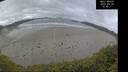 ./images/calvert/beach/20250520/beach20250520_104010M.jpg