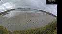 ./images/calvert/beach/20250520/beach20250520_104510M.jpg