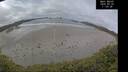 ./images/calvert/beach/20250520/beach20250520_110507M.jpg