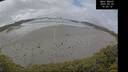 ./images/calvert/beach/20250520/beach20250520_140011M.jpg