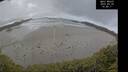 ./images/calvert/beach/20250520/beach20250520_144010M.jpg