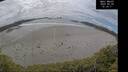 ./images/calvert/beach/20250520/beach20250520_151010M.jpg
