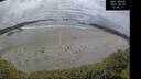 ./images/calvert/beach/20250520/beach20250520_154511M.jpg