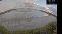 ./images/calvert/beach/20250520/beach20250520_201009M.jpg