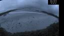 ./images/calvert/beach/20250521/beach20250521_044509M.jpg
