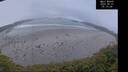 ./images/calvert/beach/20250521/beach20250521_051507M.jpg