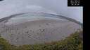 ./images/calvert/beach/20250521/beach20250521_052009M.jpg