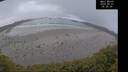 ./images/calvert/beach/20250521/beach20250521_052508M.jpg
