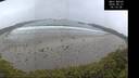 ./images/calvert/beach/20250521/beach20250521_061508M.jpg
