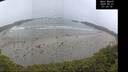 ./images/calvert/beach/20250521/beach20250521_073510M.jpg