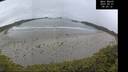 ./images/calvert/beach/20250521/beach20250521_083011M.jpg