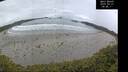 ./images/calvert/beach/20250521/beach20250521_084510M.jpg