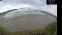 ./images/calvert/beach/20250521/beach20250521_102510M.jpg