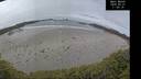 ./images/calvert/beach/20250521/beach20250521_115510M.jpg
