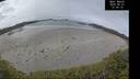 ./images/calvert/beach/20250521/beach20250521_123011M.jpg