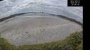 ./images/calvert/beach/20250521/beach20250521_150509M.jpg