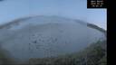 ./images/calvert/beach/20250522/beach20250522_045009M.jpg