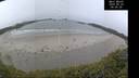 ./images/calvert/beach/20250523/beach20250523_090508M.jpg