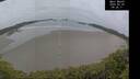 ./images/calvert/beach/20250525/beach20250525_092010M.jpg