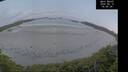 ./images/calvert/beach/20250610/beach20250610_044007M.jpg