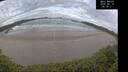 ./images/calvert/beach/20250619/beach20250619_063010M.jpg