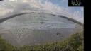 ./images/calvert/beach/20251022/beach20251022_140501M.jpg