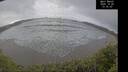 ./images/calvert/beach/20251024/beach20251024_133501M.jpg