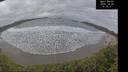 ./images/calvert/beach/20251025/beach20251025_163501M.jpg