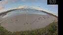 ./images/calvert/beach/20251026/beach20251026_093001M.jpg