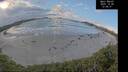 ./images/calvert/beach/20251026/beach20251026_125001M.jpg