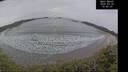 ./images/calvert/beach/20260220/beach20260220_154001M.jpg